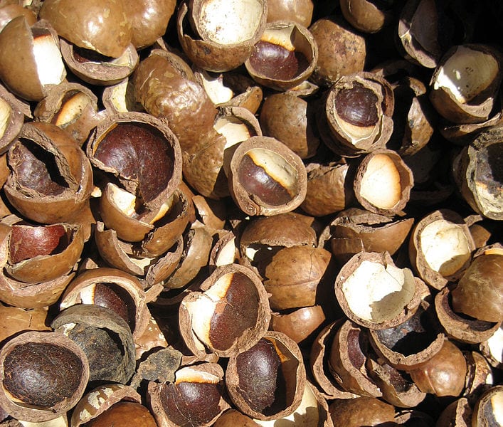 Cracked macadamia shells